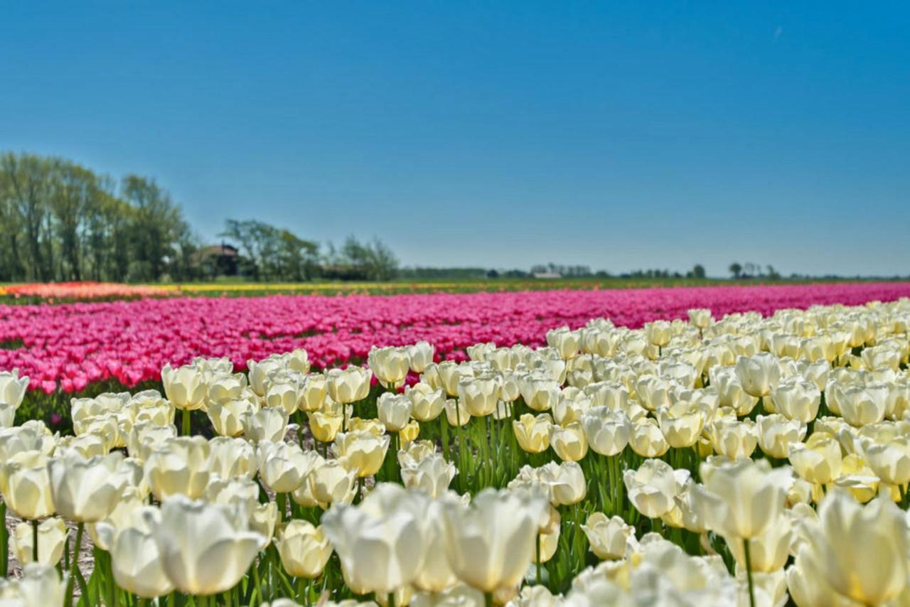 Villa Prinsenhof # Vierendertig แบร์เคน ภายนอก รูปภาพ
